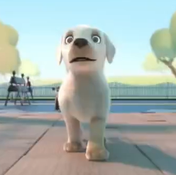 《Pip》励志暖心短片导盲犬