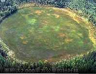 科技-西伯利亚冰原的冰冻之谜，通古斯大爆炸究竟是怎么回事？