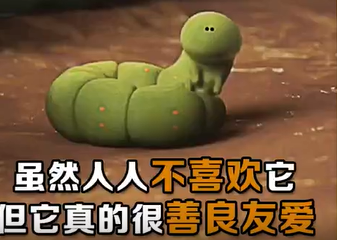 教育动画短片-《毛毛虫的新家》