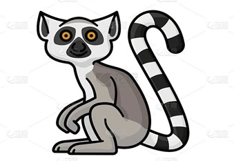 恐龙曾经的邻居 环尾狐猴 “动物世界