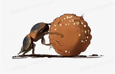 《 粪球争夺战 》 “动物世界
