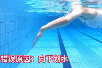 蛙泳划手正确与错误动作的示范