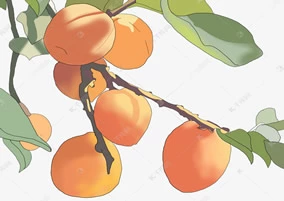 杏林春暖