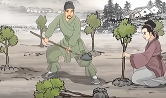 杏林春暖