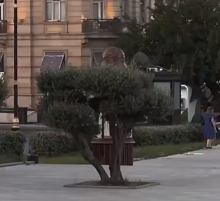自由的灵魂