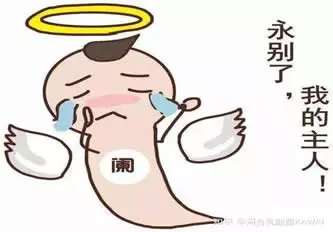 搞笑视频-割阑尾