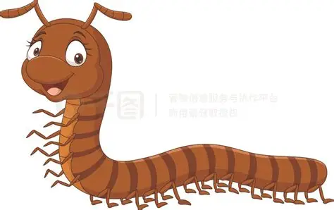 胆小的千足虫和菜青虫争夺薯片归属权