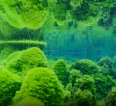 最原始的水下世界！