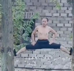 撑腿上树