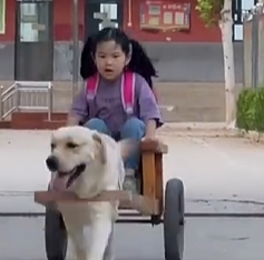 乡村萌娃与爱犬