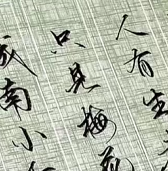 只见梅花不见人-书法欣赏
