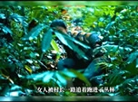 影视解说-图腾诅咒