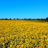 《天籁之音》空灵梦幻的优美旋律