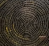 世界上唯一的一个金丝楠木的黄肠题凑墓