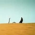 西海情歌，感人的歌声