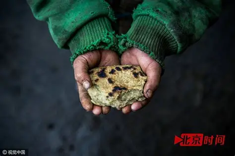 如果一个人为面包而犯罪，这个社会有罪