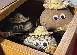 石头宠物