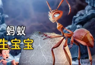 蚁后生娃