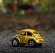 搞笑动画-在电线上发生的故事