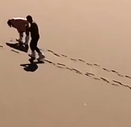 流行音乐Desert of Sadness《悲伤的沙漠》