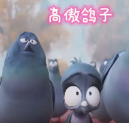 高傲的鸽子