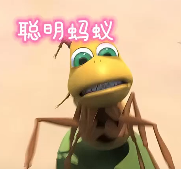 聪明蚂蚁惊险回家路