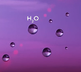 距离145光年发现了“屎”