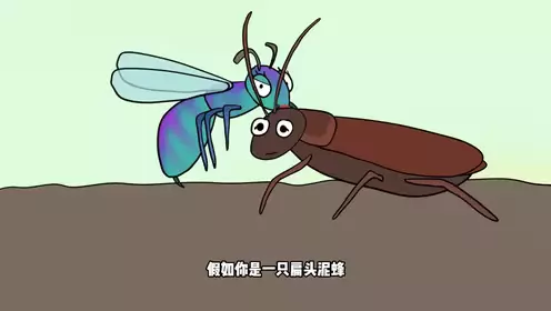 扁头泥蜂如何将蟑螂变为傀儡