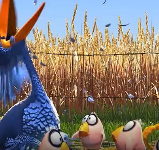 搞笑动画-悲催的鸟