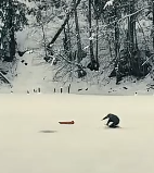 父爱的力量-冰下救子