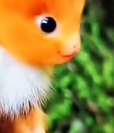 神奇的水下生物