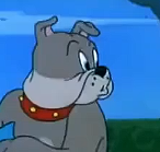 斯派克建个房子太难了