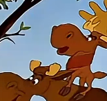 侏儒驼鹿 ,莫里斯