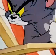 猫和老鼠-小啄木鸟