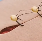 伤口愈合是人体神奇的自我修复过程