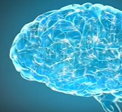 为啥记不住三岁以前的事？