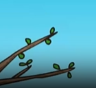 闻王昌龄左迁龙标遥有此寄 – 盛唐 – 李白