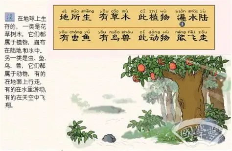 11《三字经》系列故事之“地所生，有草木”