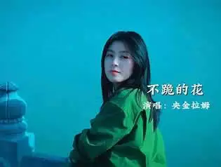 好歌分享《不跪的花》